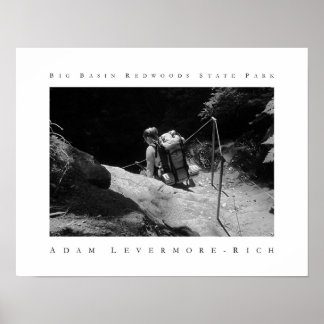 Póster Parque Estadual das Sequoias de Grande Bacia