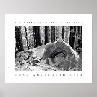 Poster Parque Estadual das Sequoias de Grande Bacia