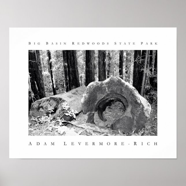 Poster Parque Estadual das Sequoias de Grande Bacia (Frente)