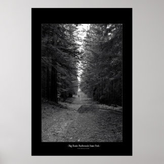 Poster Parque Estadual das Sequoias de Grande Bacia