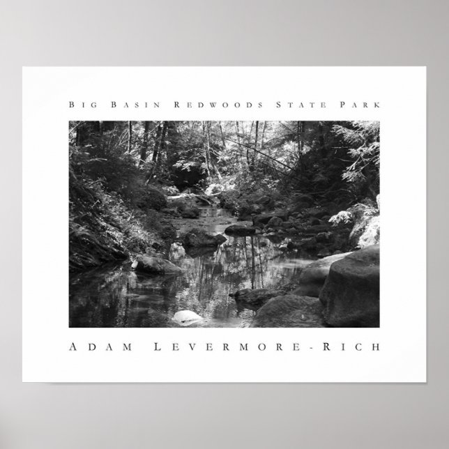 Póster Parque Estadual das Sequoias de Grande Bacia (Frente)