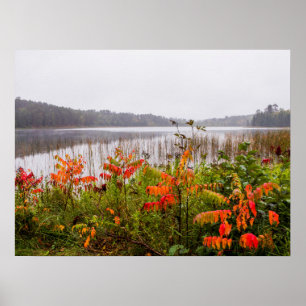 Poster Parque Estadual de Itasca Minnesota