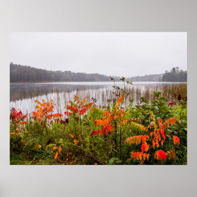 Poster Parque Estadual de Itasca | Minnesota (Frente)