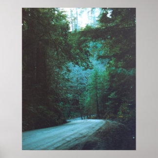 Poster Parque Estadual de Jedediah Smith Redwoods, CA