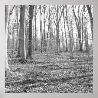 Póster Parque Estadual de Ridley Creek