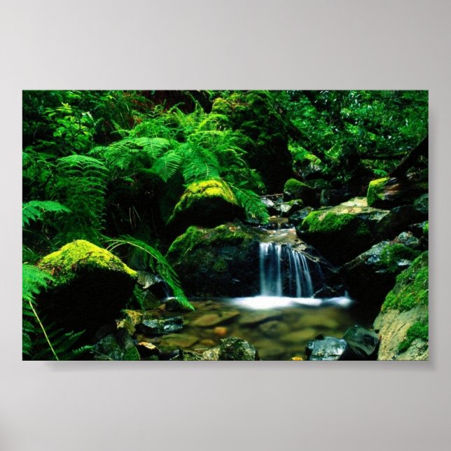 Poster Parque Estadual do Monte Tamalpais, AC (Frente)