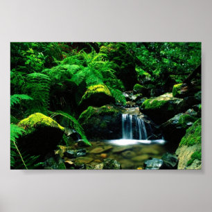 Poster Parque Estadual do Monte Tamalpais, CA