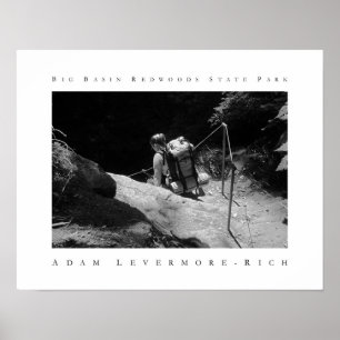 Póster Parque estadual grande das sequóias vermelhas da