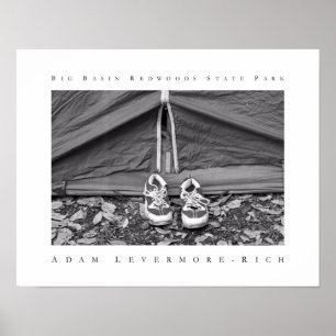 Poster Parque estadual grande das sequóias vermelhas da