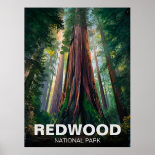 Poster Parque Estadual Nacional Redwood, Califórnia Coste