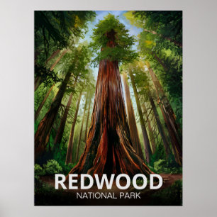 Poster Parque Estadual Nacional Redwood, Califórnia Coste