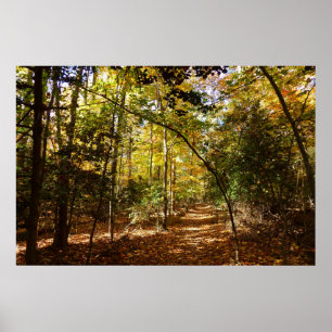 Póster Parque Greenbelt no Outono I Paisagem de Maryland