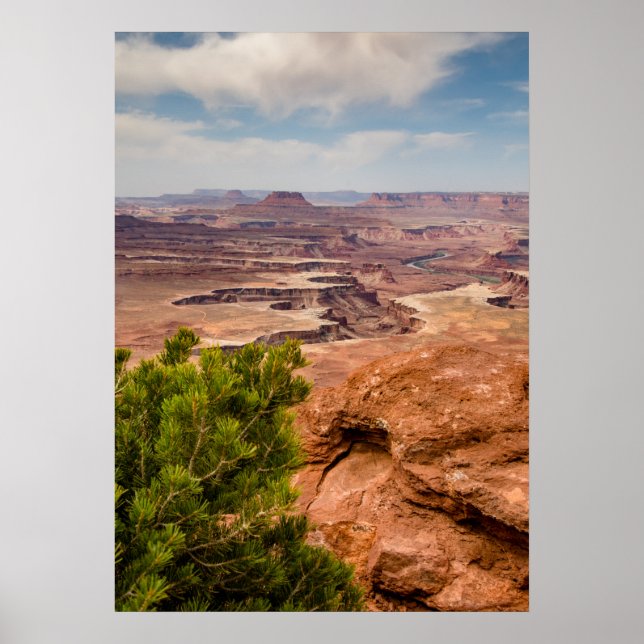 Poster Parque Nacional Canyonlands (Frente)