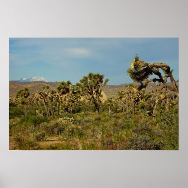 Póster Parque Nacional da Árvore de Josué Paisagem Desért (Frente)