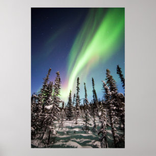 Poster Parque nacional da aurora boreal Denali