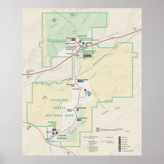 Poster Parque Nacional da Floresta Petrificada (Frente)