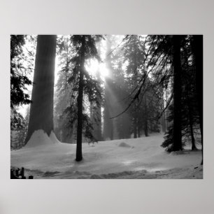 Poster Parque Nacional da Neve de inverno em Kings Canyon