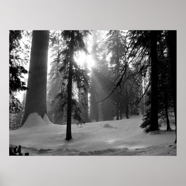 Poster Parque Nacional da Neve de inverno em Kings Canyon (Frente)