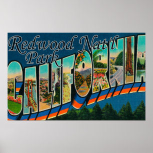 Póster Parque nacional da sequóia vermelha, Califórnia