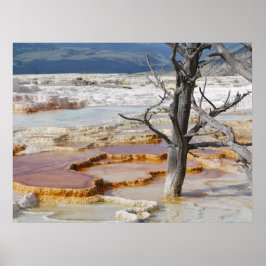 Póster Parque Nacional das Canárias Primaveras Yellowston
