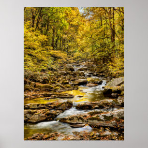 Poster Parque Nacional das Grandes Montanhas Fumos. Big C