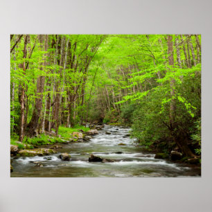 Poster Parque Nacional das Grandes Montanhas Fumosas Caro