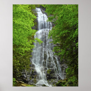 Póster Parque Nacional das Montanhas de Fumaça Excelente