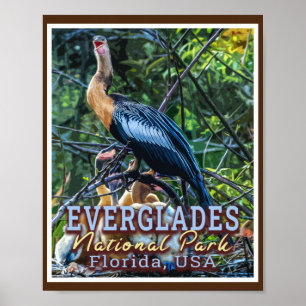 POSTER PARQUE NACIONAL DE EVERGLADES - FLÓRIDA ESTADOS UN