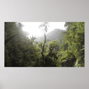 Poster Parque nacional de Manu
