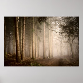 Poster Parque Nacional de Rushmere, Foggy Morning (0842)