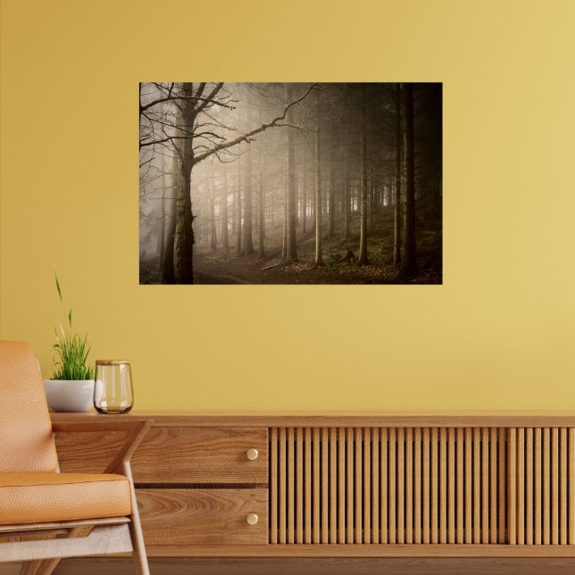 Poster Parque Nacional de Rushmere, Foggy Woodland (0845) (Sala de Estar 2)
