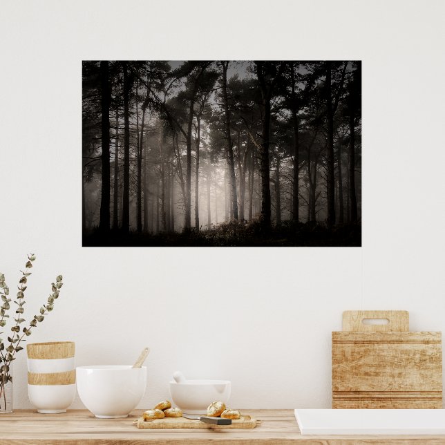 Poster Parque Nacional de Rushmere, Foggy Woodland (0872) (Cozinha)