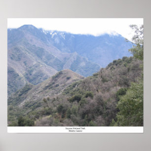 Póster Parque nacional de sequóia