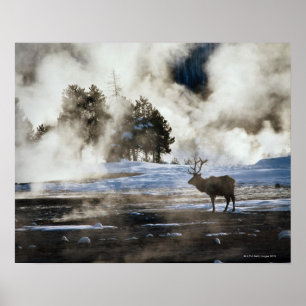 Póster Parque nacional de Yellowstone