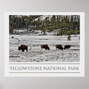 Póster Parque nacional de Yellowstone
