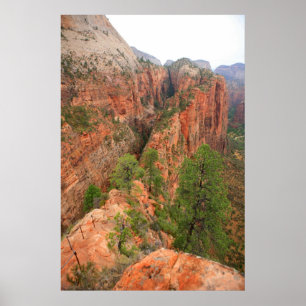 Poster parque nacional de zion