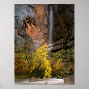 Póster Parque Nacional de Zion, Utah. EUA. Efêmero