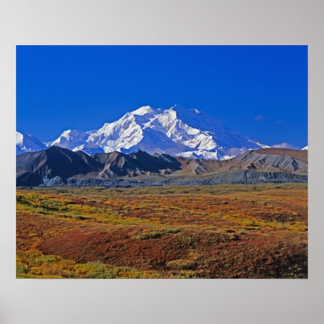 Póster Parque Nacional Denali Mt. McKinley, Alasca. (Frente)