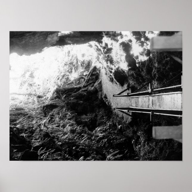 Póster Parque Nacional do Havaí, Vista de um Tubo de Lava (Frente)