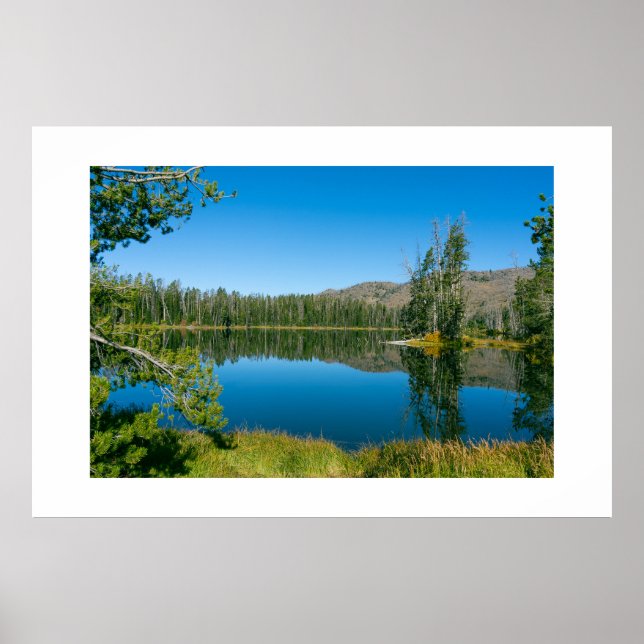 Poster Parque Nacional do Lago Sylvan Reflection Yellowst (Frente)
