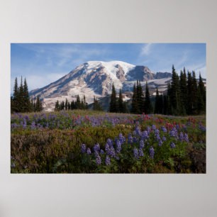 Poster Parque Nacional do Monte Rainier, Monte Rainier 3