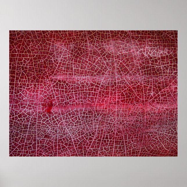 Poster Parque nacional do Vale da Morte (Frente)