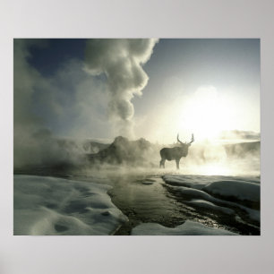 Poster Parque nacional dos EUA, Wyoming, Yellowstone.
