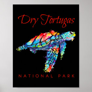 Poster Parque Nacional Dry Tortugas Tartaruga Marinha Aqu