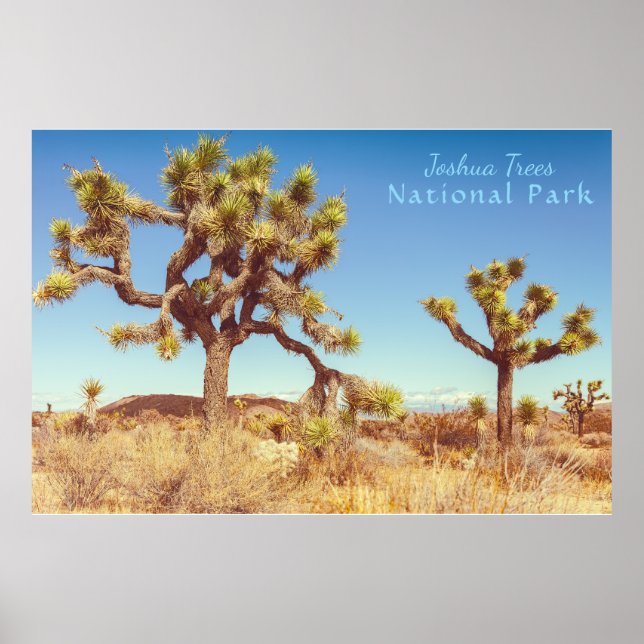 Poster Parque Nacional Joshua Trees (Frente)