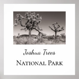 Poster Parque Nacional Joshua Trees