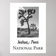 Parque Nacional Joshua Trees