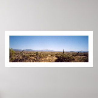 Poster Parque Nacional McDowell