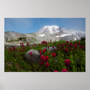 Póster Parque Nacional Monte Rainier, Monte Rainier 1