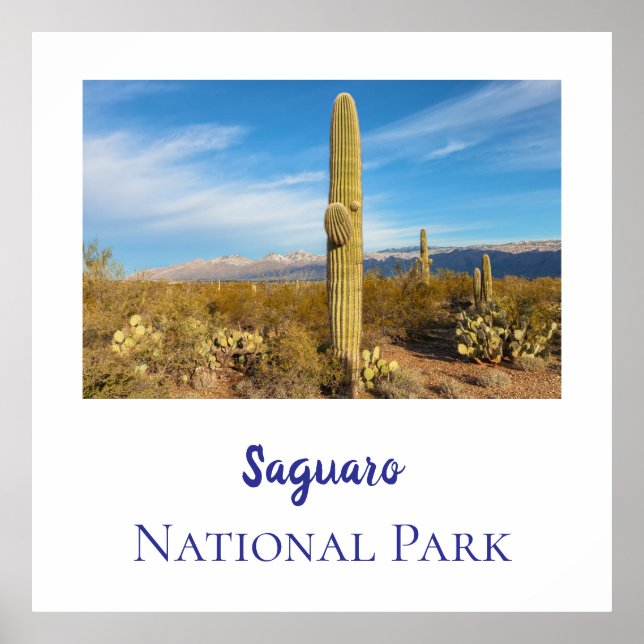Poster Parque nacional Saguaro (Frente)